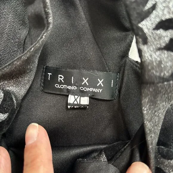 Fairygoth Silver And Black dress Velvet Design Fit and Flare Whimsigoth SZ XL - Picture 12 of 12